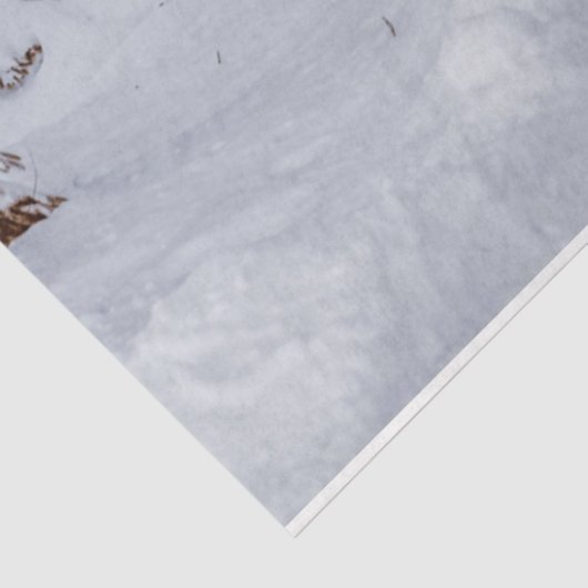 Forest Winter 11 Ontvangstdocument Tissuepapier (Detail)