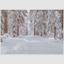 Forest Winter 11 Ontvangstdocument