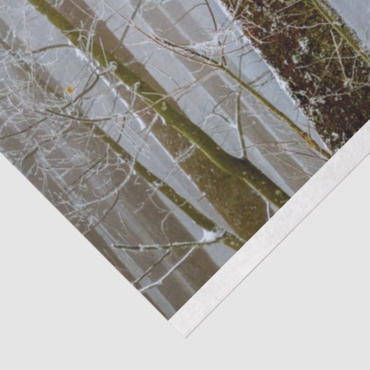 Forest Winter 12 Ontvangstdocument Tissuepapier (Detail)