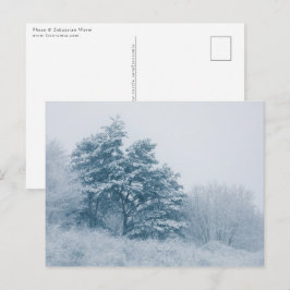 Forest Winter Natuur Foto Briefkaart