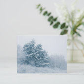 Forest Winter Natuur Foto Briefkaart (Staand voorkant)