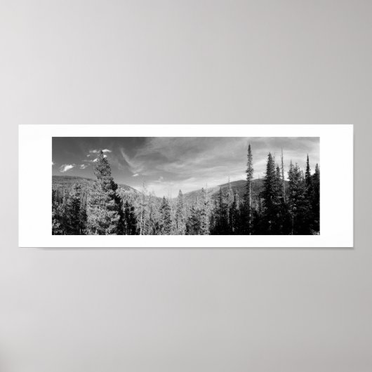 Forest Woodland Black en White Photo Panoramic Poster (Voorkant)
