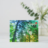 Forest Woodland Medley of Trees Canada Briefkaart (Staand voorkant)