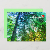 Forest Woodland Medley of Trees Canada Briefkaart (Voorkant / Achterkant)