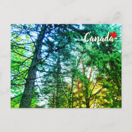 Forest Woodland Medley of Trees Canada Briefkaart