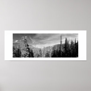 Forest Woodland Panoramic Poster - Zwart-wit
