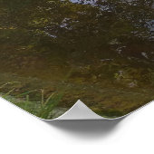 Forestier Lake Poster (Hoek)