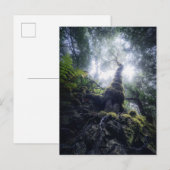 Forests | Anaga Rural Park Canary Islands Briefkaart (Voorkant / Achterkant)