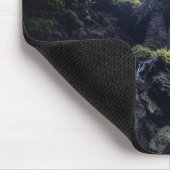 Forests | Anaga Rural Park Canary Islands Muismat (Hoek)