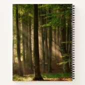 Forests | Autumn Forest Notitieboek (Achterkant)