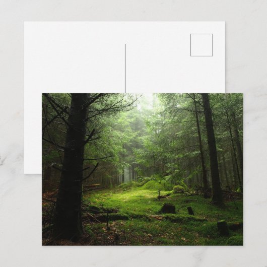 Forests | Auvergne France Briefkaart (Voorkant / Achterkant)