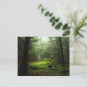 Forests | Auvergne France Briefkaart (Staand voorkant)