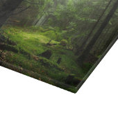 Forests | Auvergne France Snijplank (Hoek)