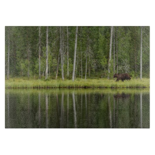 Forests | Bear at Taiga Forest Northern Finland Snijplank (Voorkant)
