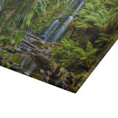 Forests | Beauchamp Falls Australia Snijplank (Hoek)