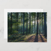 Forests | Black Forest Germany Briefkaart (Voorkant / Achterkant)