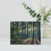 Forests | Black Forest Germany Briefkaart (Staand voorkant)