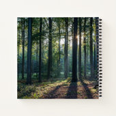 Forests | Black Forest Germany Notitieboek (Achterkant)