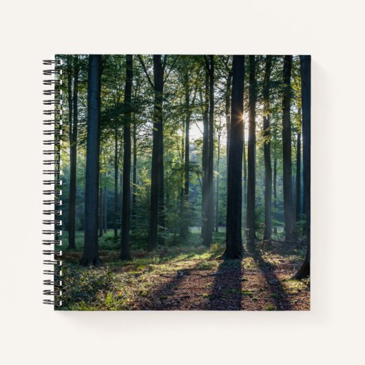 Forests | Black Forest Germany Notitieboek (Voorkant)