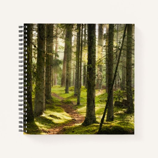 Forests | Boreal Forest Sweden Notitieboek (Voorkant)