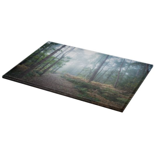 Forests | Dark Foggy Woods Norfolk UK Snijplank (Hoek)