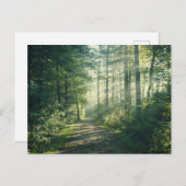 Forests | Forest Path Hamburg Germany Briefkaart (Voorkant / Achterkant)