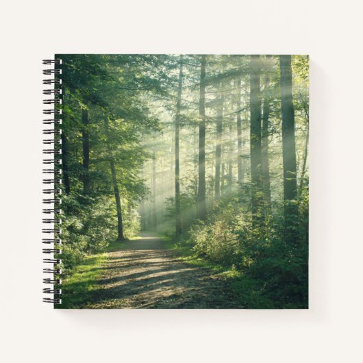 Forests | Forest Path Hamburg Germany Notitieboek (Voorkant)