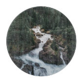 Forests | Grison Graubunden Canton Snijplank (Voorkant)