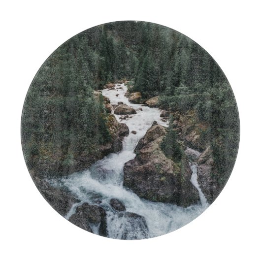 Forests | Grison Graubunden Canton Snijplank (Voorkant)