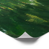 Forests | Mangrove Forest Poster (Hoek)