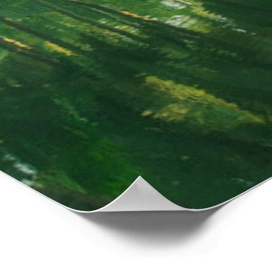 Forests | Mangrove Forest Poster (Hoek)