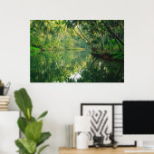 Forests | Mangrove Forest Poster (Thuiskantoor)
