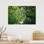 Forests | Mangrove Forest Poster (Keuken)