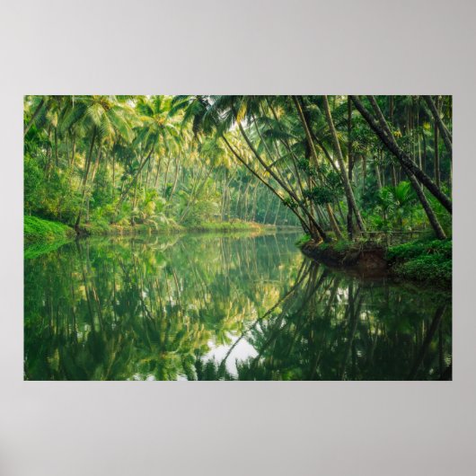 Forests | Mangrove Forest Poster (Voorkant)