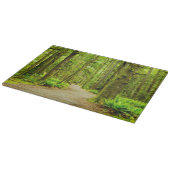 Forests | Olympic National Park Snijplank (Hoek)
