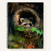 Forests | Raccoon Peeking Notitieboek (Voorkant)