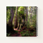 Forests | Redwood Forest California Notitieboek (Achterkant)
