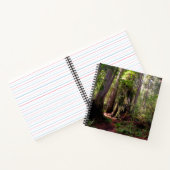 Forests | Redwood Forest California Notitieboek (Binnen)