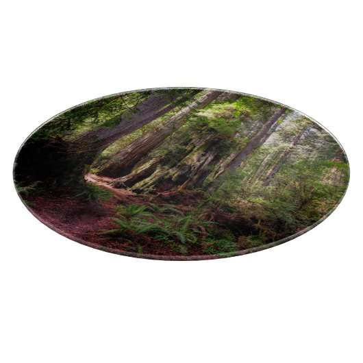 Forests | Redwood Forest California Snijplank (Hoek)