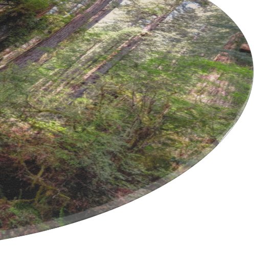 Forests | Redwood Forest California Snijplank (Hoek)