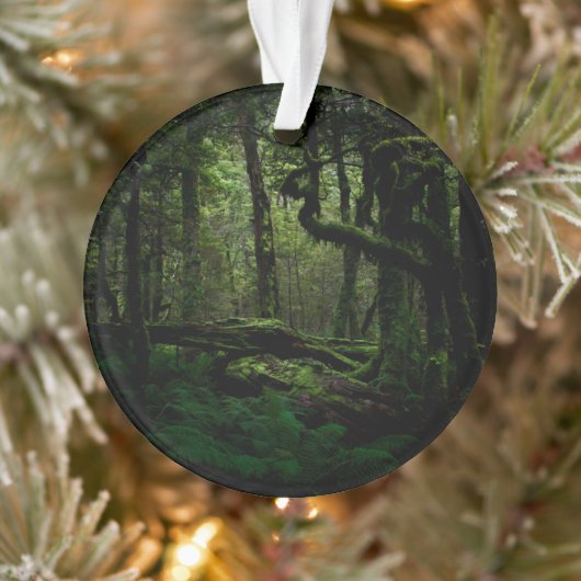 Forests | Routeburn Track Fiordland National Park Ornament (Boom)