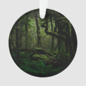 Forests | Routeburn Track Fiordland National Park Ornament (voorkant)