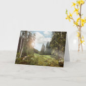 Forests | Sun Peeking Thru Kaart (Gele Bloem)