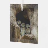 Forests | Three Owls Looking Glas Ornament (Voorkant links)