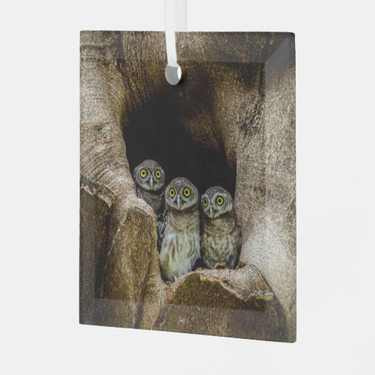 Forests | Three Owls Looking Glas Ornament (Voorkant links)