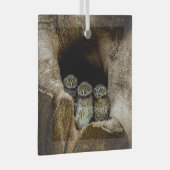Forests | Three Owls Looking Glas Ornament (Voorkant Rechts)