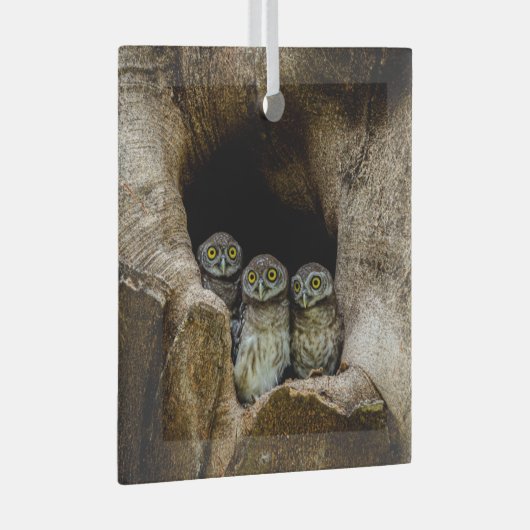 Forests | Three Owls Looking Glas Ornament (Voorkant Rechts)