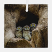 Forests | Three Owls Looking Glas Ornament (Achterkant)