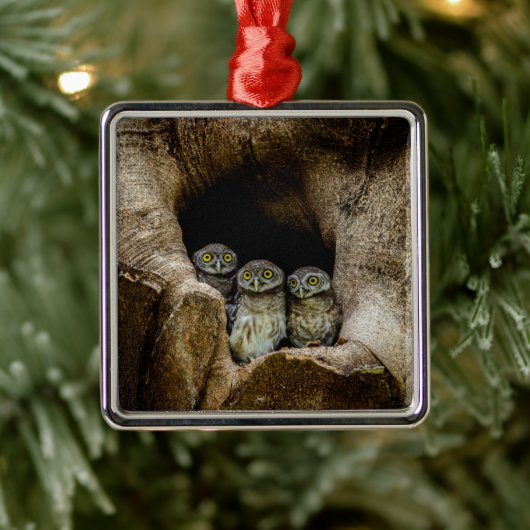 Forests | Three Owls Looking Metalen Ornament (Boom)