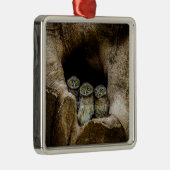 Forests | Three Owls Looking Metalen Ornament (Rechts)